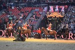 Cavalry - 00173